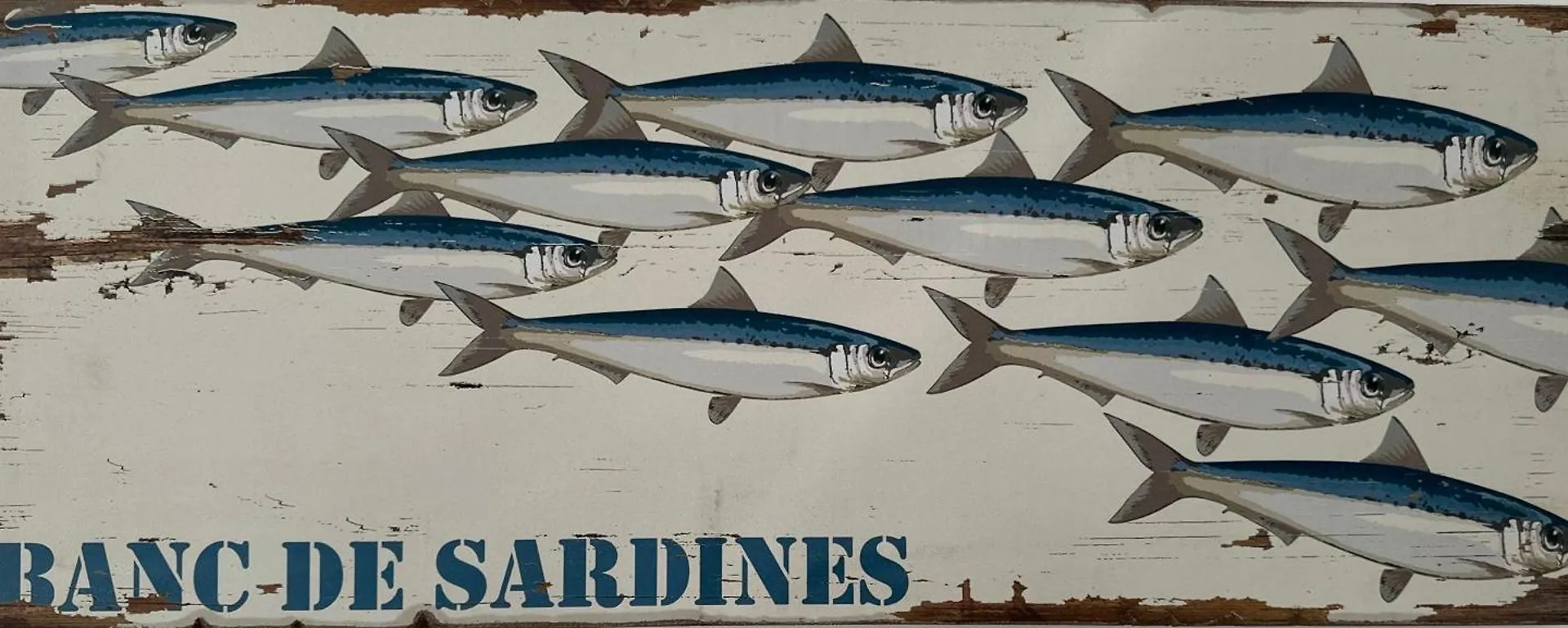 La Maison Des Sables Blancs Loctudy